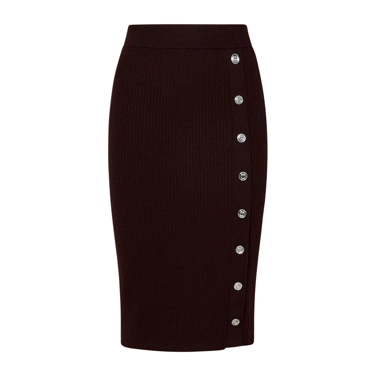 Pinko Women's Skirt