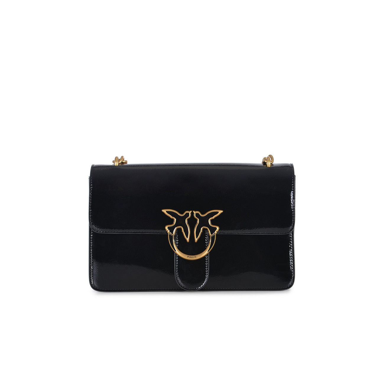 Pinko Women's Bag
