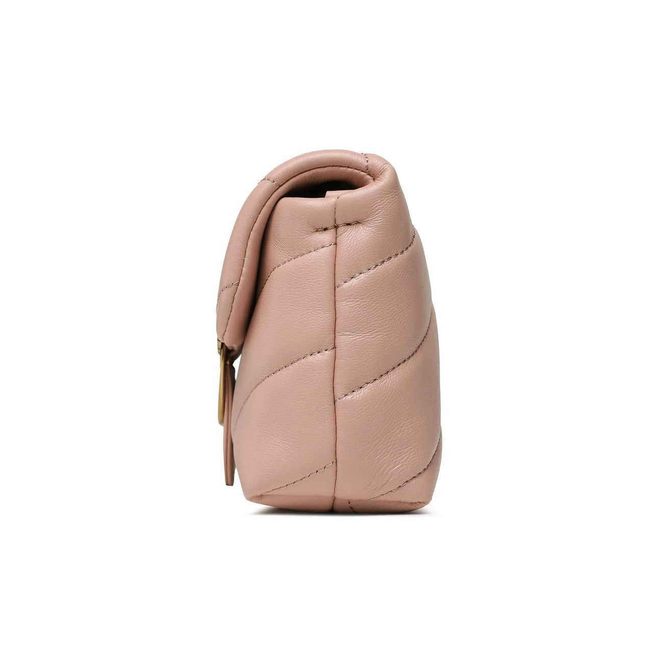 Pinko Women's Bag