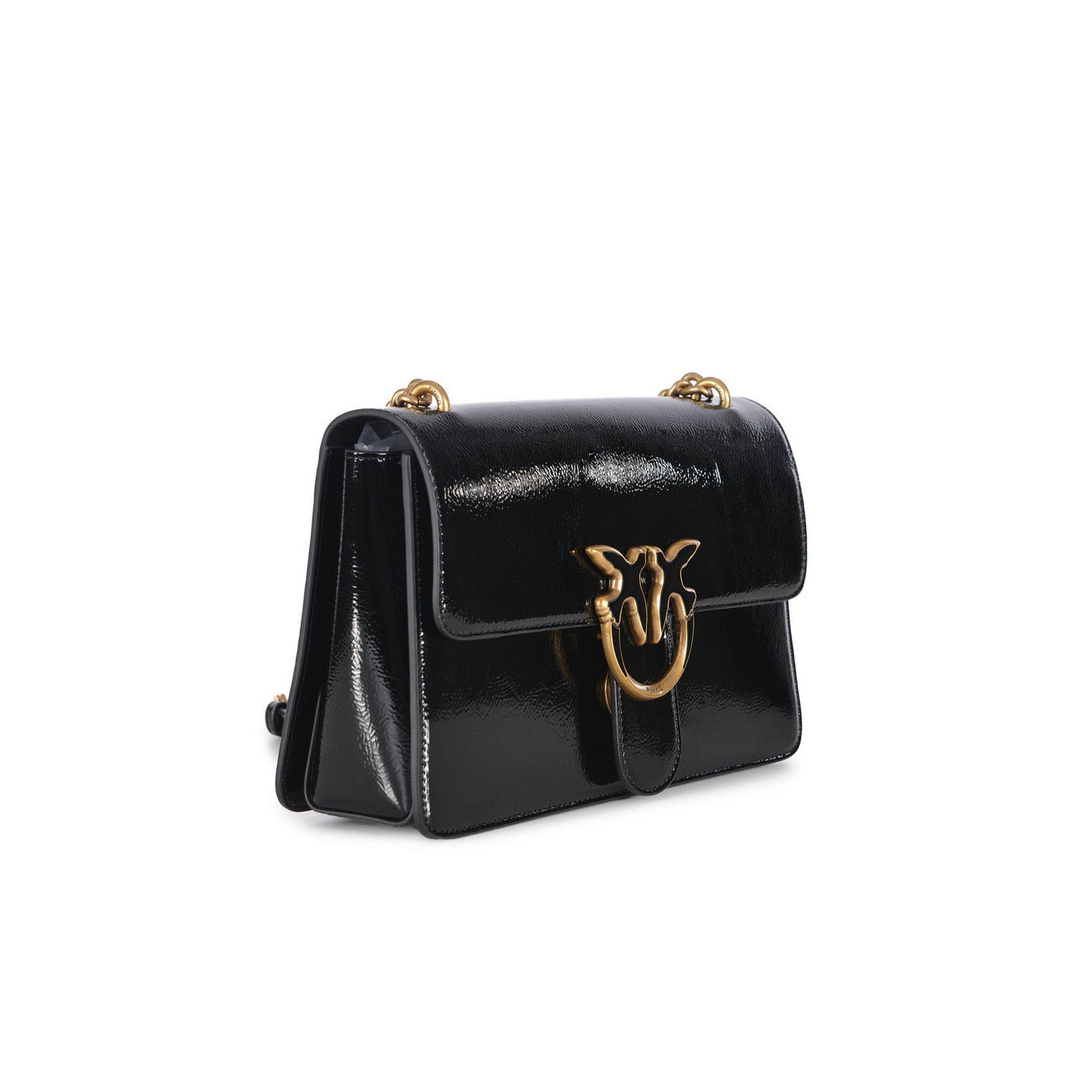 Pinko Women's Bag