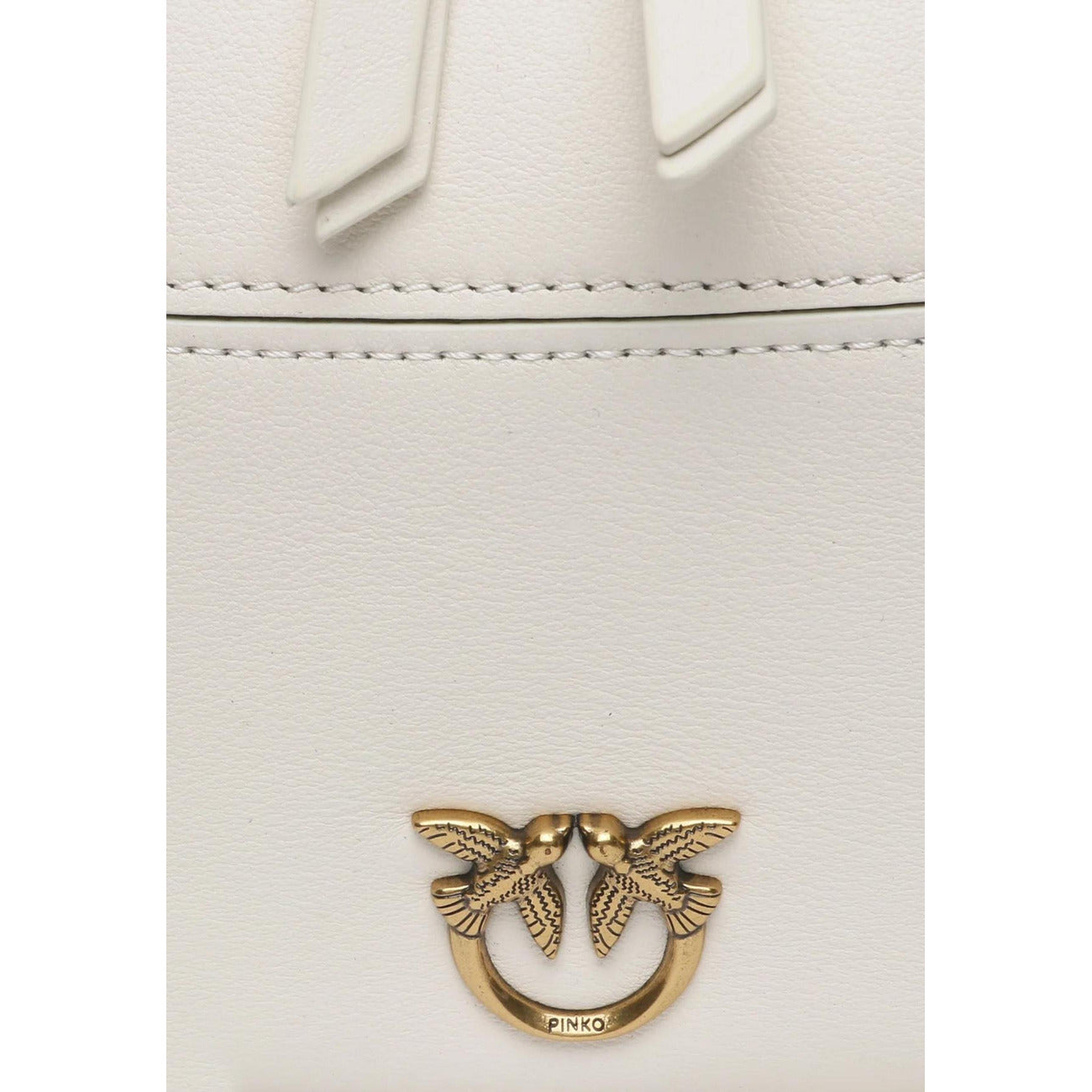 Pinko Women's Bag